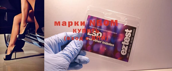 крисы Верхний Тагил
