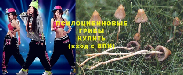 амф Вязники