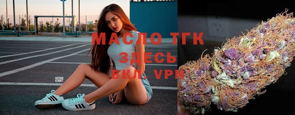 крисы Верхний Тагил