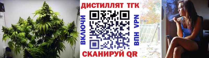 ТГК Wax  Купить  Лермонтов 