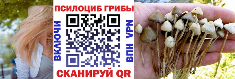 Купить где  Лермонтов  Галлюциногенные грибы мухоморы 